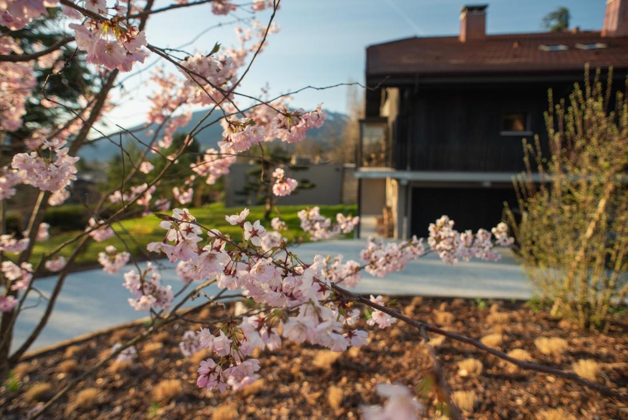 Maison Gokan Bed & Breakfast ซิวริเย ภายนอก รูปภาพ